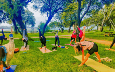 Yoga plein air